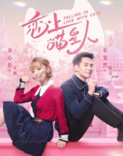 我是大学本科在读!想当兵!城镇户口!上海人!学校也在上海!从学校报名好还是回当地武装部报名好游戏画面