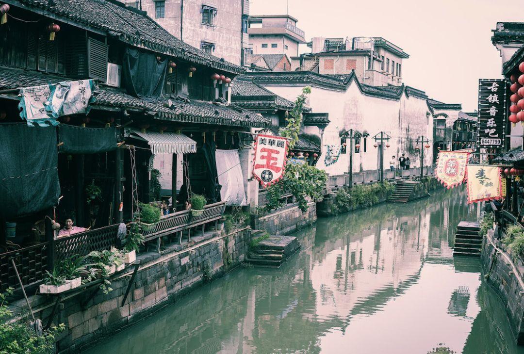小犀牛救援